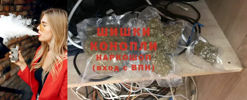 Канабис OG Kush  Данков 